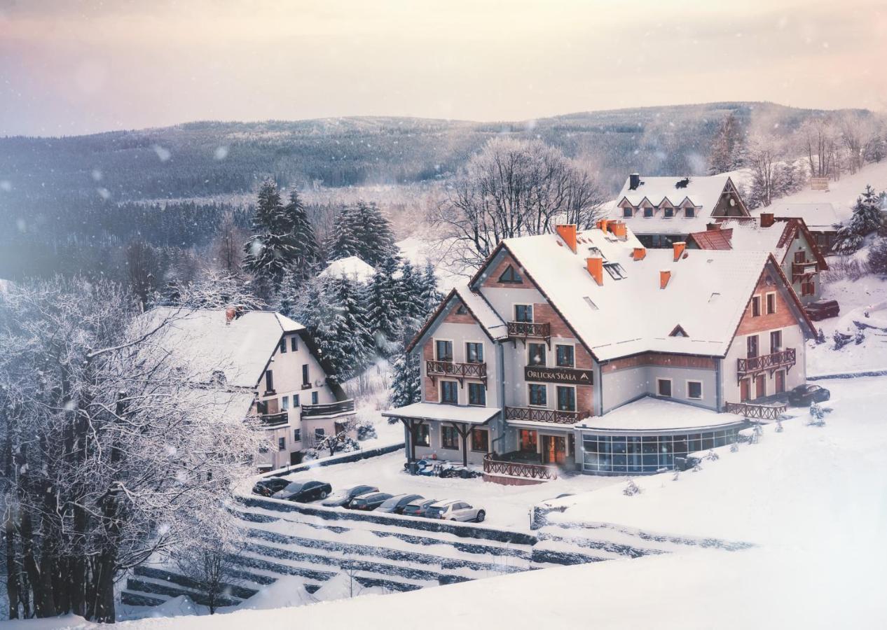 Bed and Breakfast Orlicka Skala Зеленец Экстерьер фото